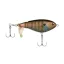 15427005.jpg