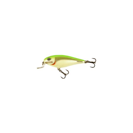 executor_5_LBS.png