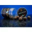 BaitBait Dippelt csalizó bojli, 20 mm, Mentor (tintahal-polip), barna, 220 g