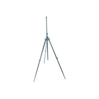 CZ0568.jpg