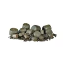 CZ1655.jpg