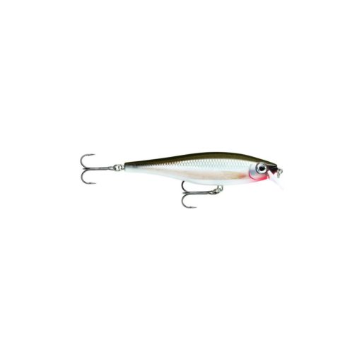RA581600008.png