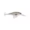 RA58190024.jpg