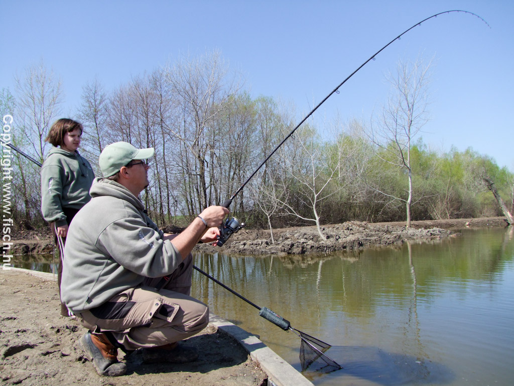 A következő generáció