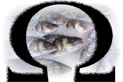 Amit az Omega-3-ról tudni érdemes