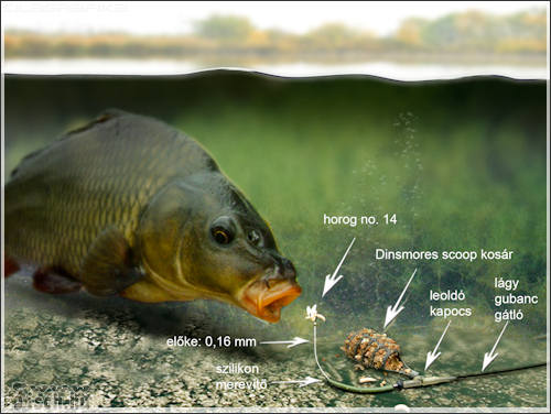 Bevált Feeder szerelékek