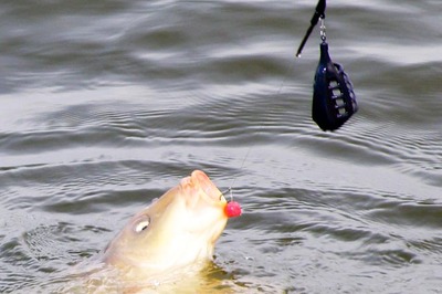 Egyszer fent, egyszer lent