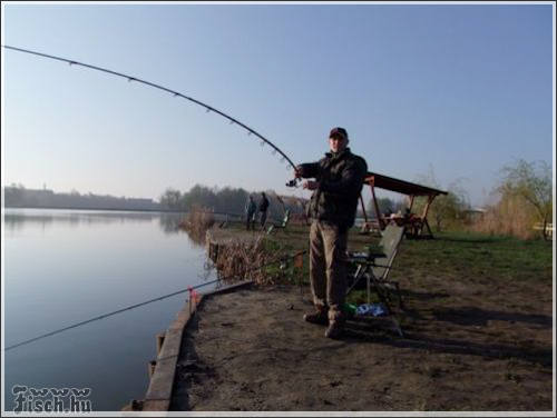 Feederbot választás - millió adat