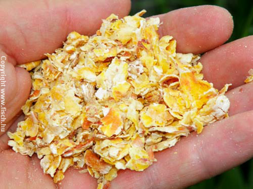 Fillérekért nagyhalat