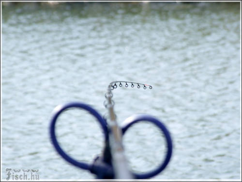 Fókuszban a feeder! 