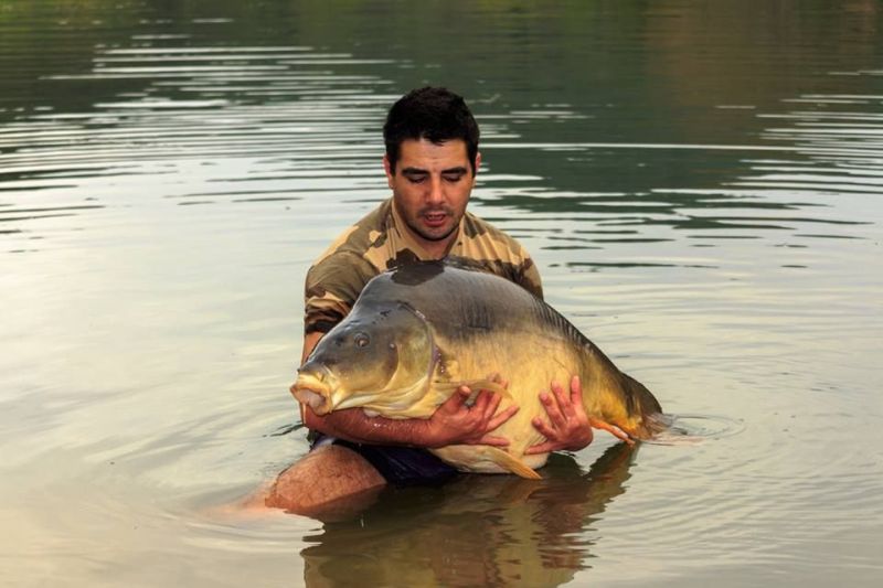 Gyönyörű fogások Carp Zoom termékek használatával!
