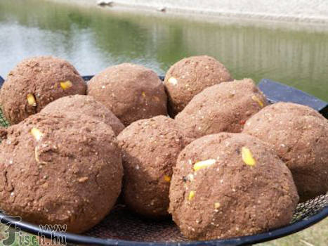 Horgásszunk bátran bolognaival!