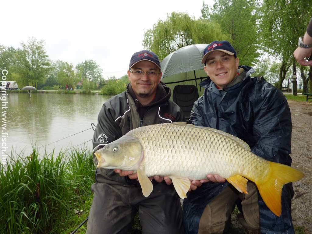 Horogpaszta – pasztahorog