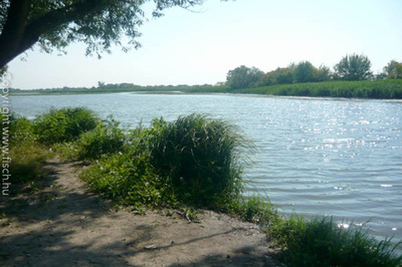 Itt élek: Tisza-tó