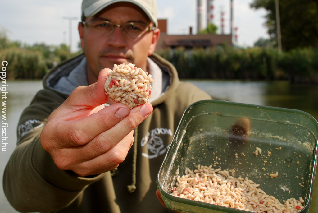 Ragasszunk csontkukacot