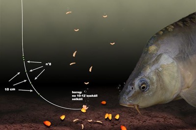 Rakósbottal a pontyok ellen - Partközeli horgászatok