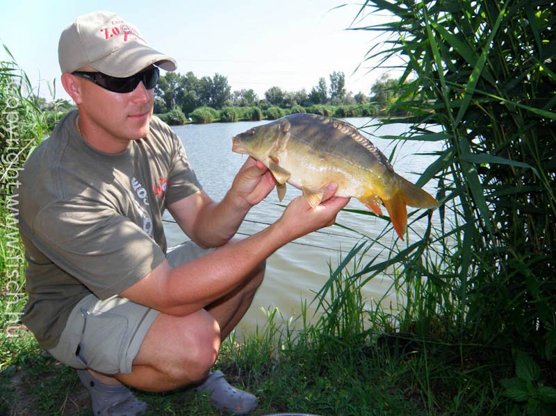 Sivatagi hadművelet