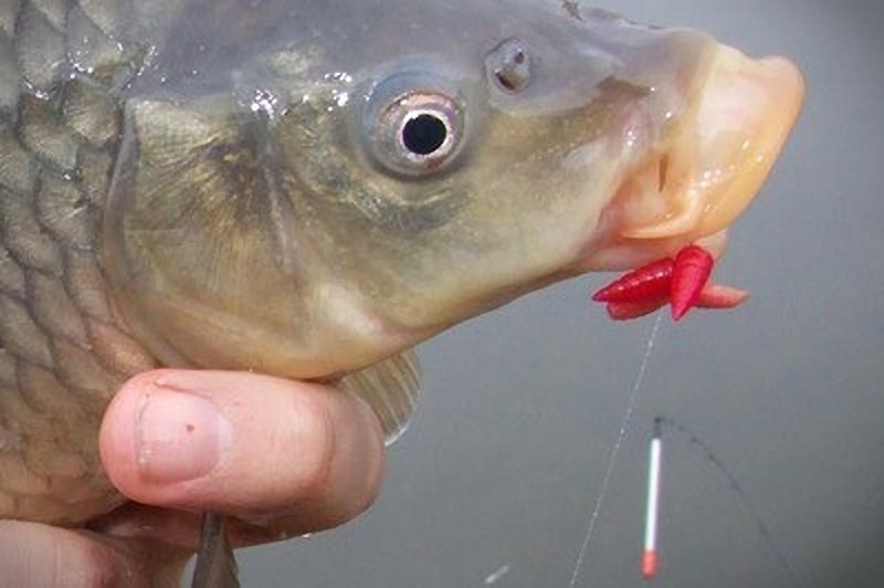 SMS a vízpartról - A lengőspicc!