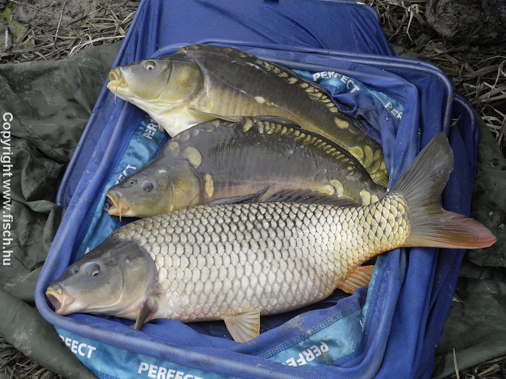 Sok kicsi sokszor többre megy