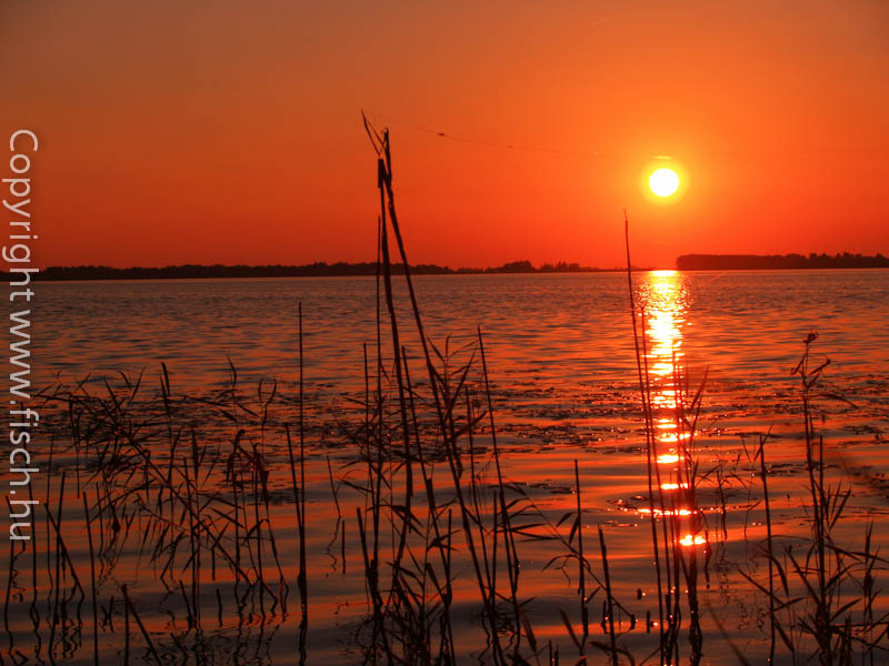Visszatekintés: Tisza tó 2012