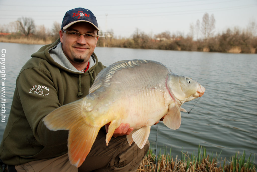  „Vées” peca egyedül